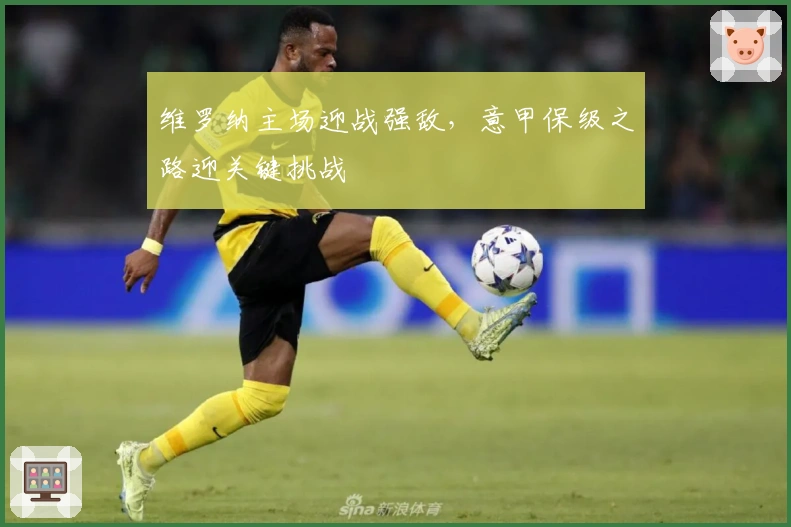 维罗纳主场迎战强敌，意甲保级之路迎关键挑战